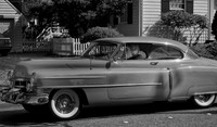 Bellingham Volkswalk 2011-19