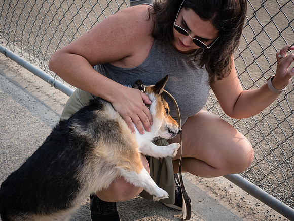 Axia Home Loans Softball 8-14-18