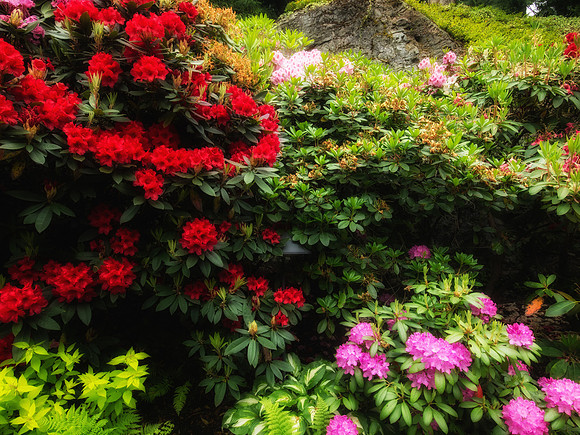 Butchart Gardens May 2012-2-2
