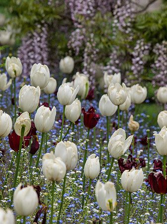 Butchart Gardens May 2012-51-2