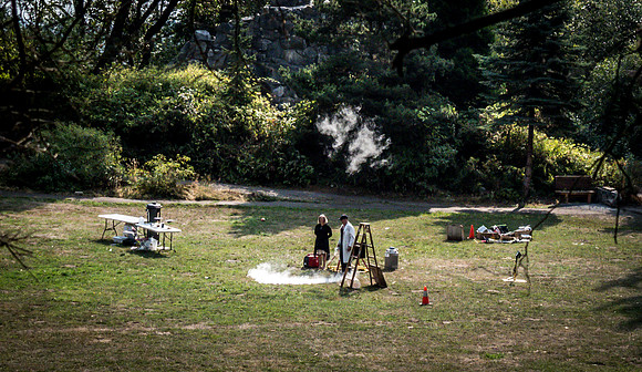 Adult Summer Camp 2018 Set 5-20