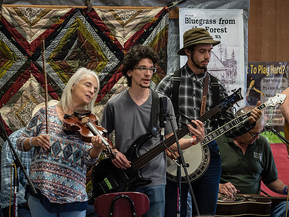 Bluegrass From The Forest Contest Photos 2018 @ Shelton, WA_-4