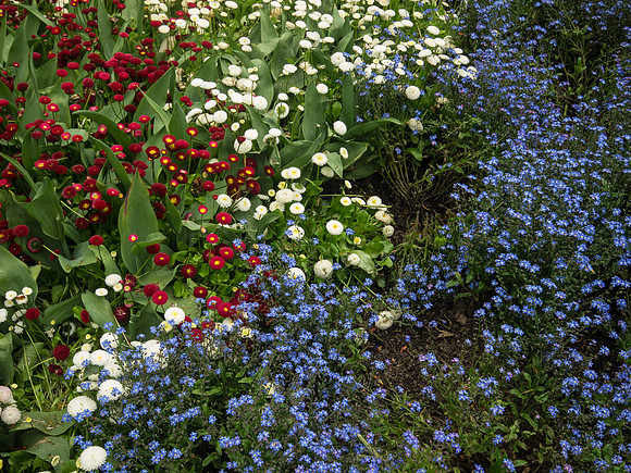 Butchart Gardens May 2012-5-2