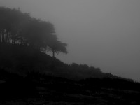 Santa Cruz Morning