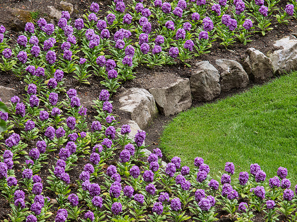 Butchart Gardens May 2012-26-2