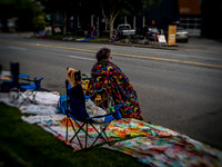 Fremont Parade 2017 Set 1