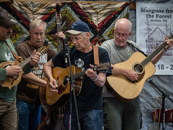 Bluegrass From The Forest Contest Photos 2018 @ Shelton, WA_-18