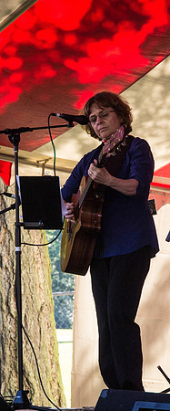 The Convergence Zone@ The 2012 Bluegrass on The Green Festival-4