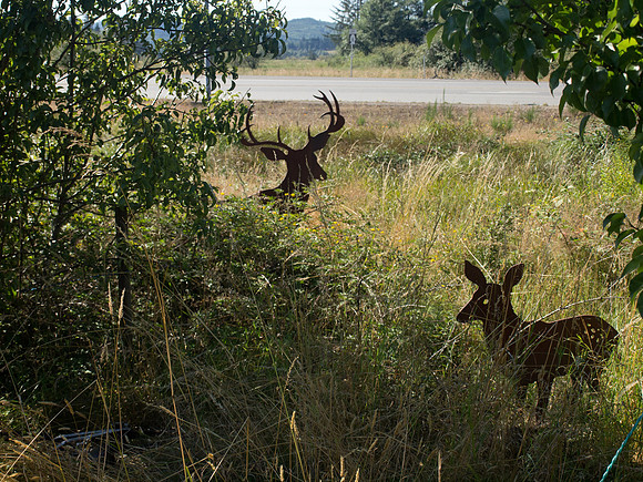 Grays Harbor Volkswalk Weekend August 2011-9