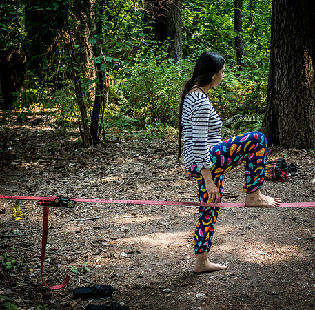 Adult Summer Camp 2018 Set 5-77