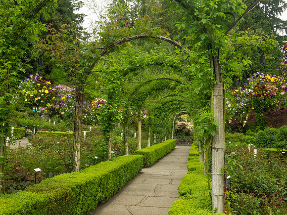 Butchart Gardens May 2012-8-2
