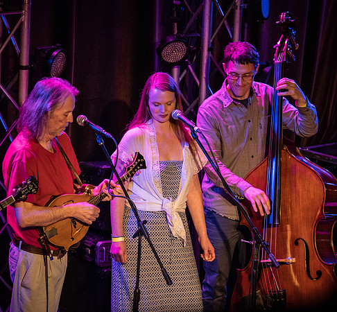 Deadgrass @ Road to Wintergrass 2018 @ Nectar Lounge-15