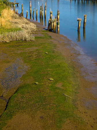 Grays Harbor Volkswalk Weekend August 2011-5