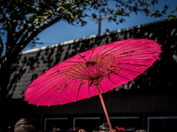 Fremont Solstice Fair 2018 Set 2-10
